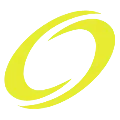 NETLINK IT SERVICES